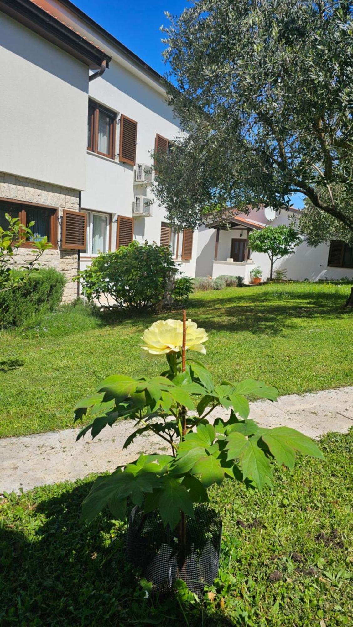 Apartments Dina Pula Exterior foto